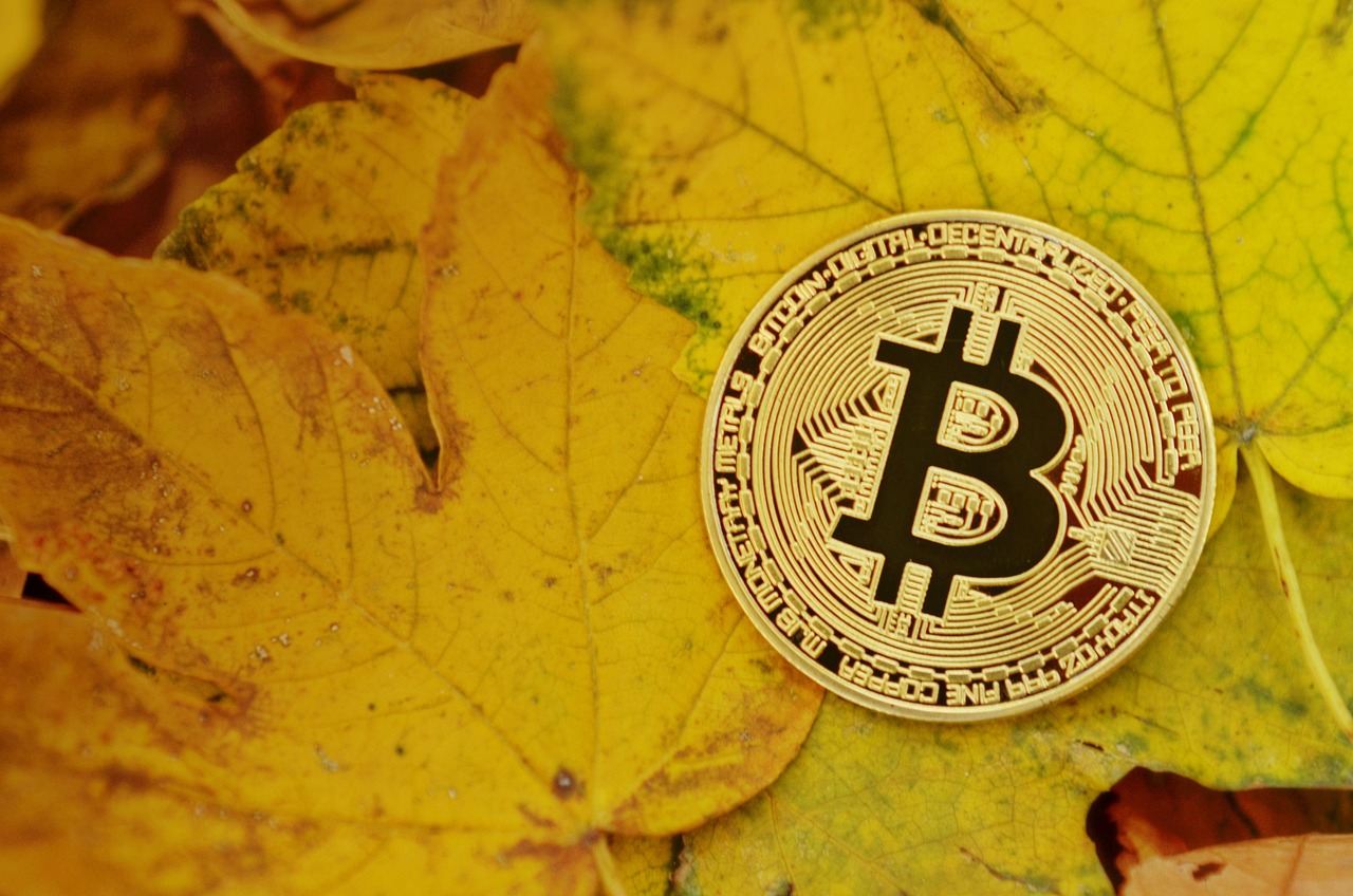 美国世界粮食计划署WFP宣布：接受BTC、ETH、USDC、DOGE、BONK等80种加密货币捐赠