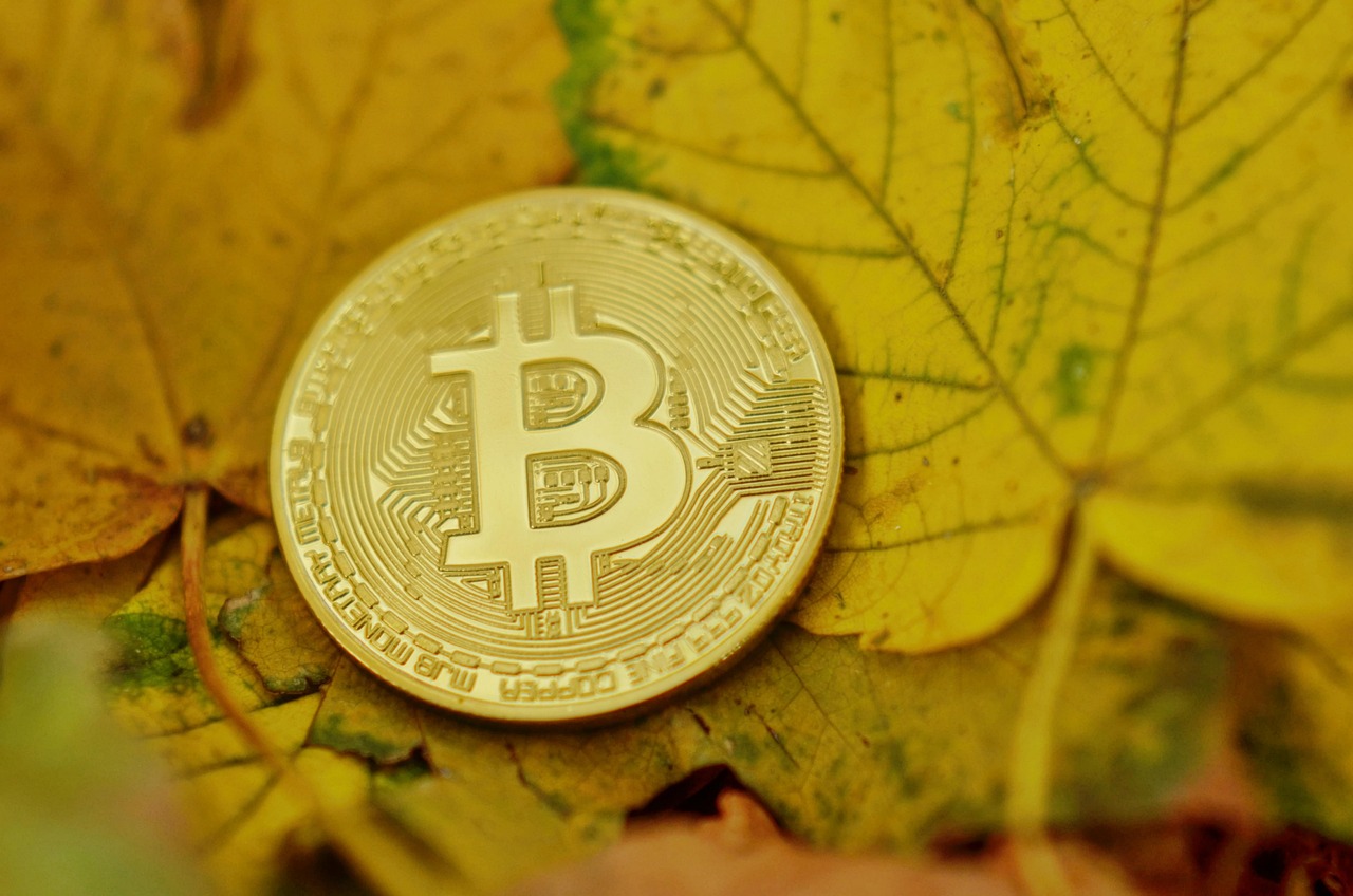 PayFi项目Huma Finance推出Huma2.0！打造跨境支付解决方案